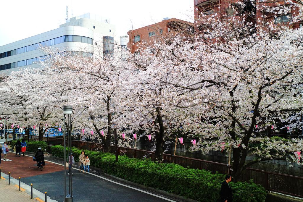 דירות Coto Tokyo Shibuya מראה חיצוני תמונה